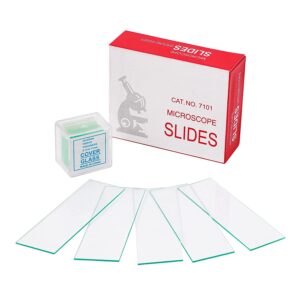 Microscope Glass Slides