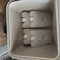 Vaccine Carrier Price In Nigeria