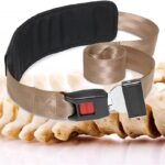 Buy Rehabilitation Belt In Nigeria