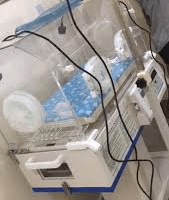 Phototherapy Machine Price In Lagos