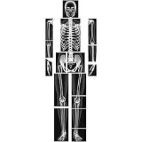 X-Ray Film Near Me Nigeria